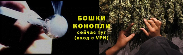 ГАЛЛЮЦИНОГЕННЫЕ ГРИБЫ Зеленокумск
