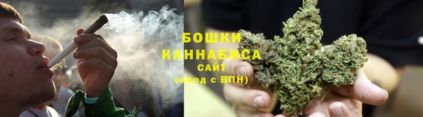 ГАЛЛЮЦИНОГЕННЫЕ ГРИБЫ Зеленокумск