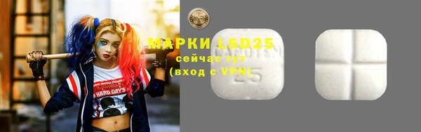 прущие грибы Зеленодольск