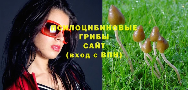 спиды Новосибирск