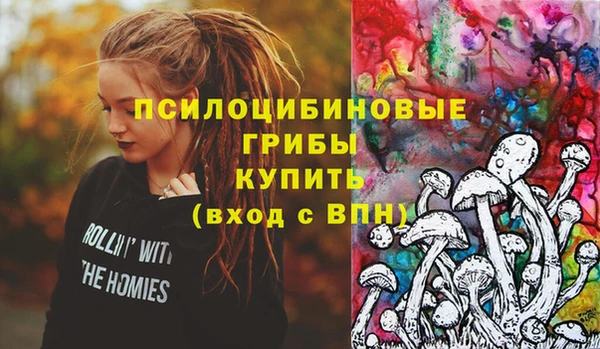 ГАЛЛЮЦИНОГЕННЫЕ ГРИБЫ Зеленокумск