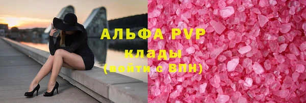 прущие грибы Зеленодольск
